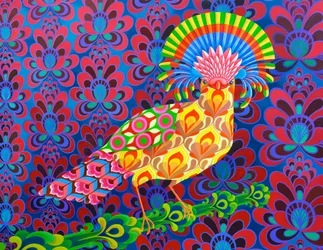 Fliegenfänger, 2017